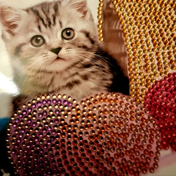 Kitty Playing in Yarn Basket Greeting Card - Picture 7 of 12